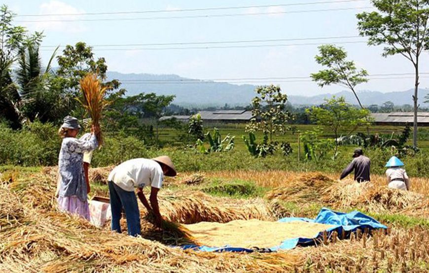 Lombok: 4 Days 3 Nights Tour Pacakge