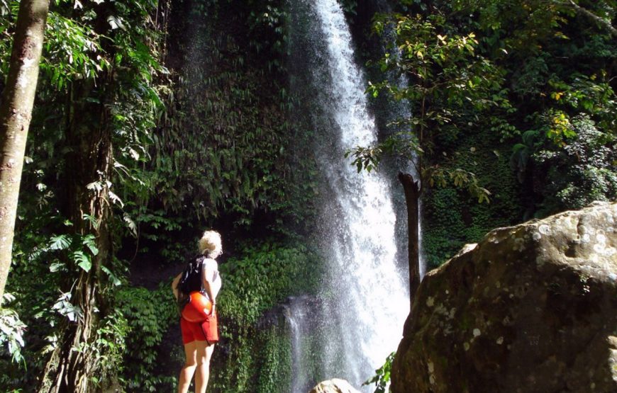 Tete Batu Ricefield Walk and Sarang Walet Waterfall