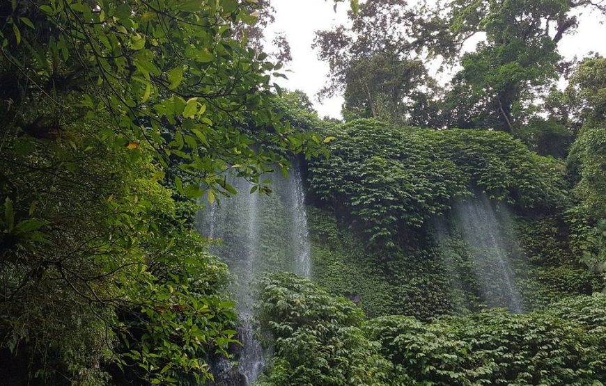 Benang Kelambu Waterfall and Mandalika South Beaches Day Trip